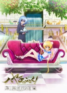 Hayate no Gotoku! Can’t Take My Eyes Off You Anime Sub Indo